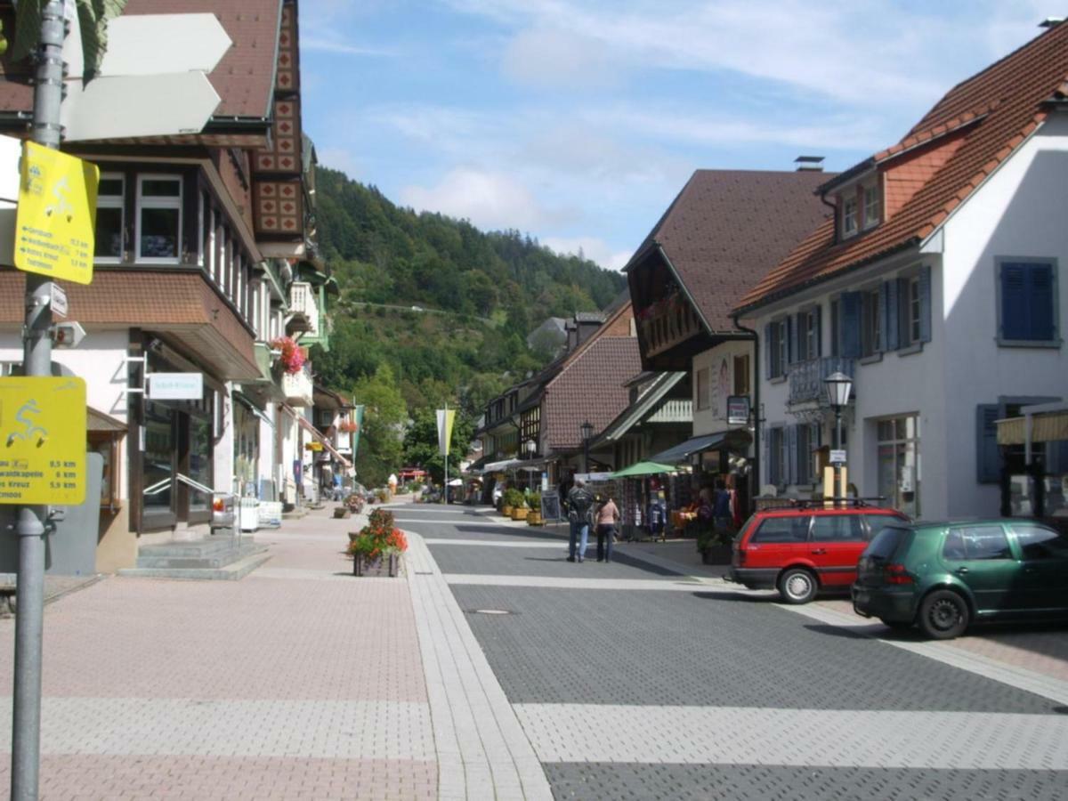 Haus Dachsberg Todtmoos Apartment Exterior photo