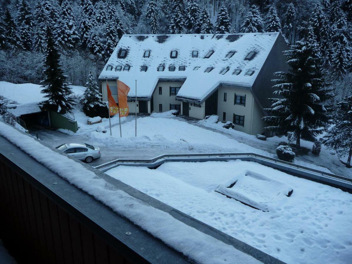 Haus Dachsberg Todtmoos Apartment Exterior photo